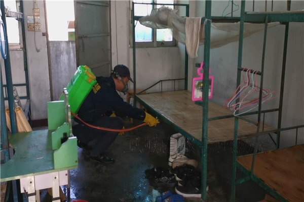 博羅縣殺臭蟲公司-惠州除四害服務公司-臭蟲防治殺蚊滅白蟻除蟲滅鼠